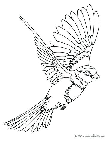 Coloring Pages Birds Peafowl Cute Peafowl Coloring Page Coloring 364x470 Coloring Pages Birds Peafowl Cute Peafowl Coloring Page Coloring