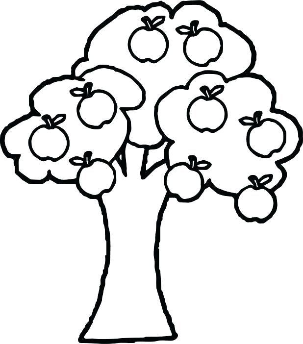 Glamorous Coloring Page Bird Apple Tree Coloring Pages New Apple 618x702 Glamorous Coloring Page Bird Apple Tree Coloring Pages New Apple