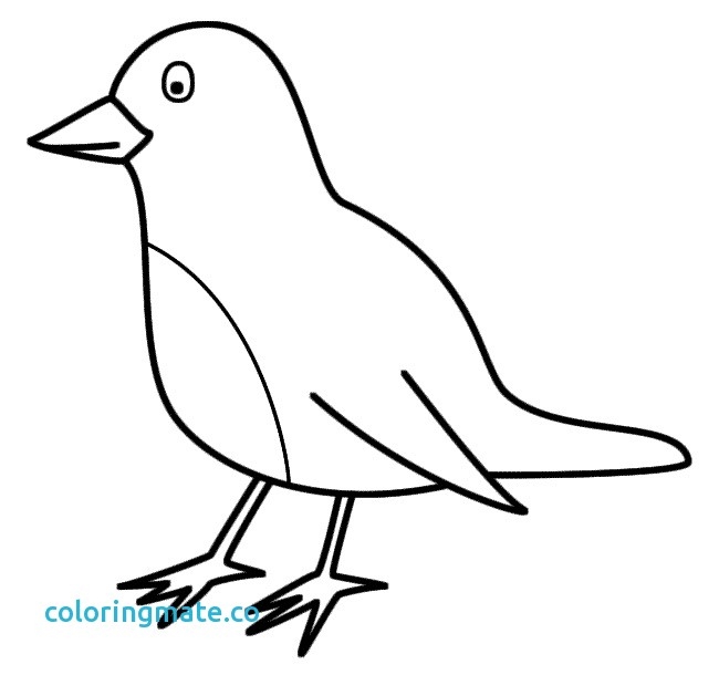 Printable Bird Coloring Pages Delectable Printable Coloring Pages 650x610 Printable Bird Coloring Pages Delectable Printable Coloring Pages