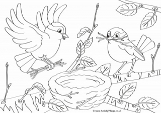 Printable Bird Colouring Pages For Kids 320x226 Printable Bird Colouring Pages For Kids