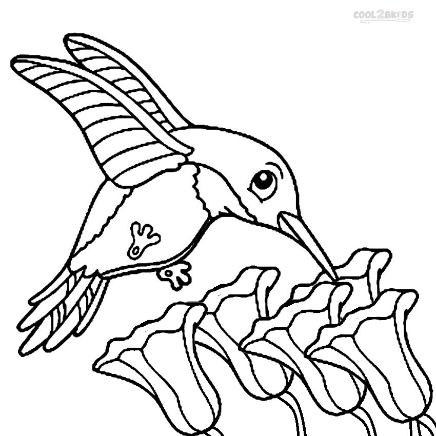 Printable Hummingbird Coloring Pages For Kids Cool2bkids 850x850 Printable Hummingbird Coloring Pages For Kids Cool2bkids