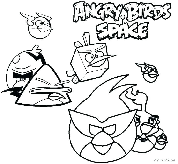 Spring Birds Coloring Pages Coloring Page 736x679 Spring Birds Coloring Pages Coloring Page