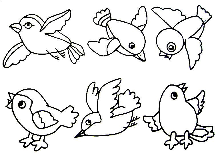 Bird Projects For Preschoolers Birds Preschool Activities, Birds 756x538 Bird Projects For Preschoolers Birds Preschool Activities, Birds