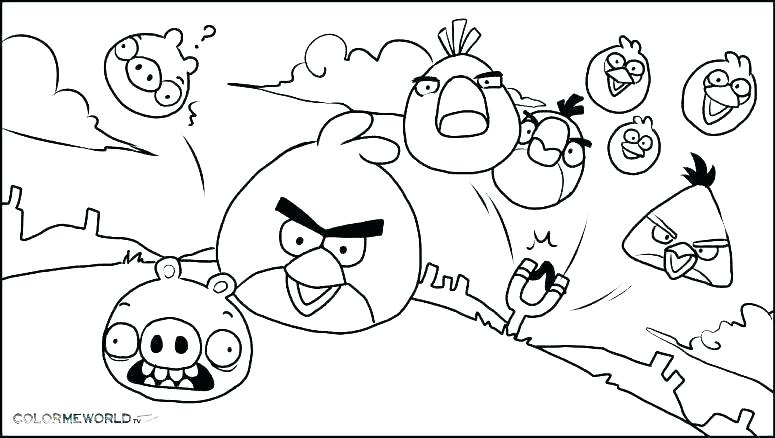 Coloring Page Bird 775x438 Coloring Page Bird