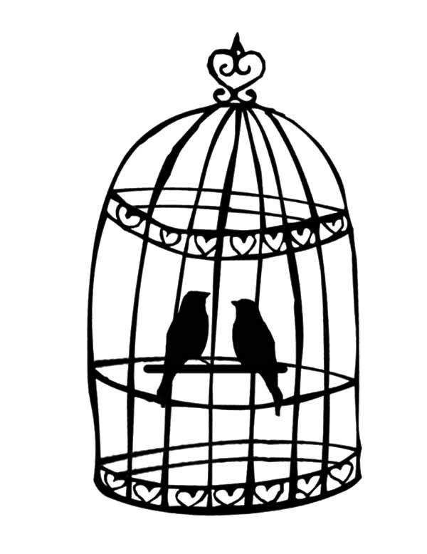 600x778 Breeding Bird In Bird Cage Coloring Pages Best Place To Color