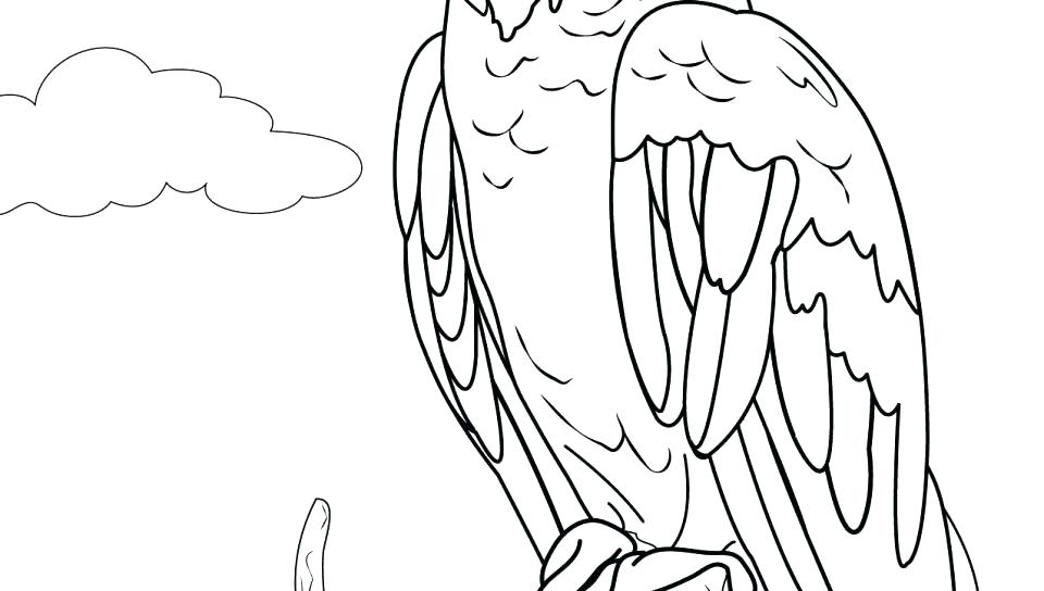 960x544 Flying Parrot Colouring Pages Coloring Pictures Of Birds Bird Cage