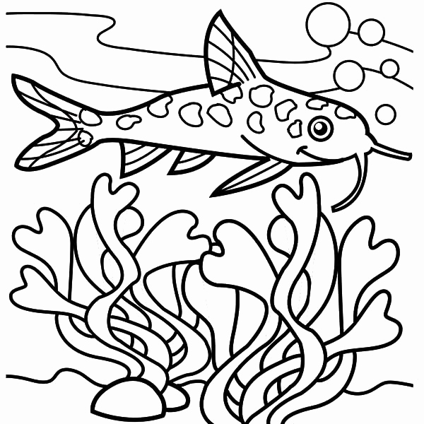 600x600 Juvenile Catfish Coloring Pages Bird In A Cage Coloring Pages