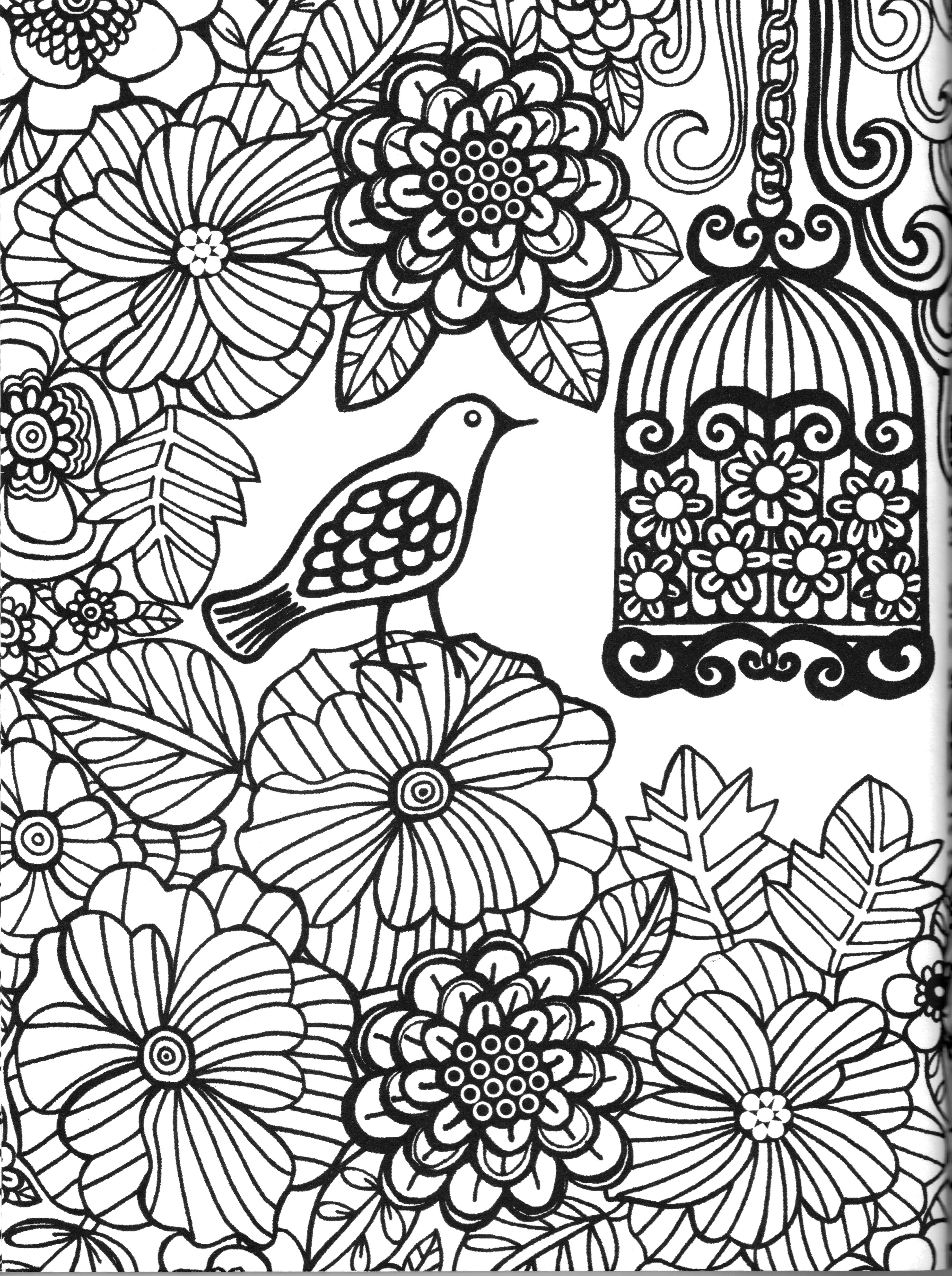 3699x4957 Coloring Garden Bird Colorir Coloriage Coloriar Coloring Pages
