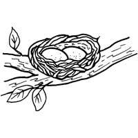 Bird Nest Coloring Page