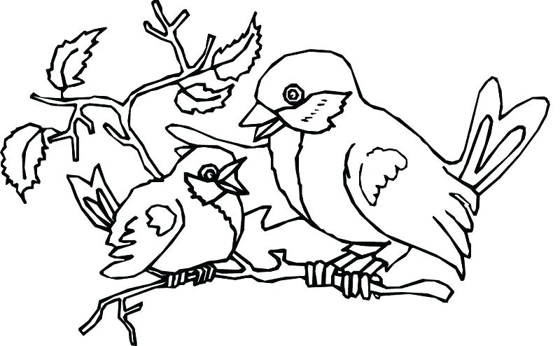 800x494 Bird Nest Coloring Page Bird Nest Coloring Page Bird Coloring