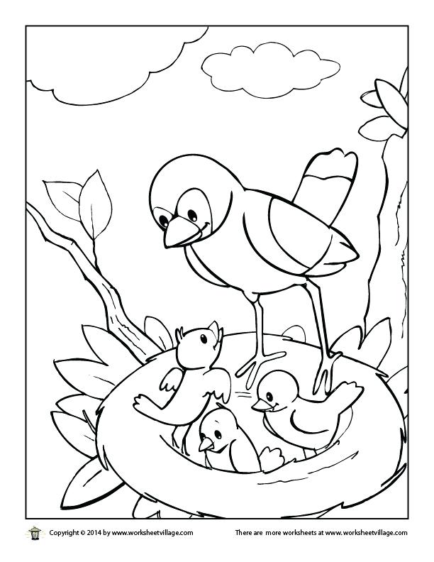 612x792 Bird Nest Coloring Page Free Coloring Pages Of Birds Bird Nest