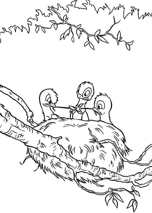 600x841 Baby Bird Coloring Page Baby Hummingbird Coloring Pages Baby Bird