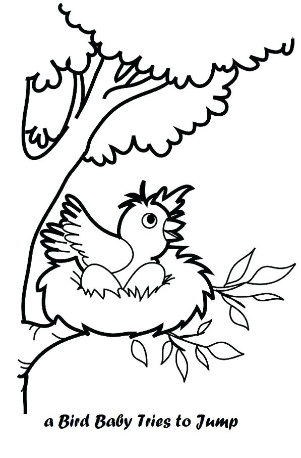 597x906 Bird Nest Coloring Page See 4 Best Images Of Bird Nest Printable