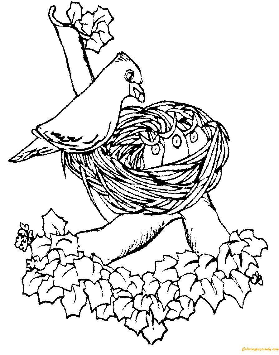 Bird Nest Coloring Page at GetColorings.com | Free printable colorings