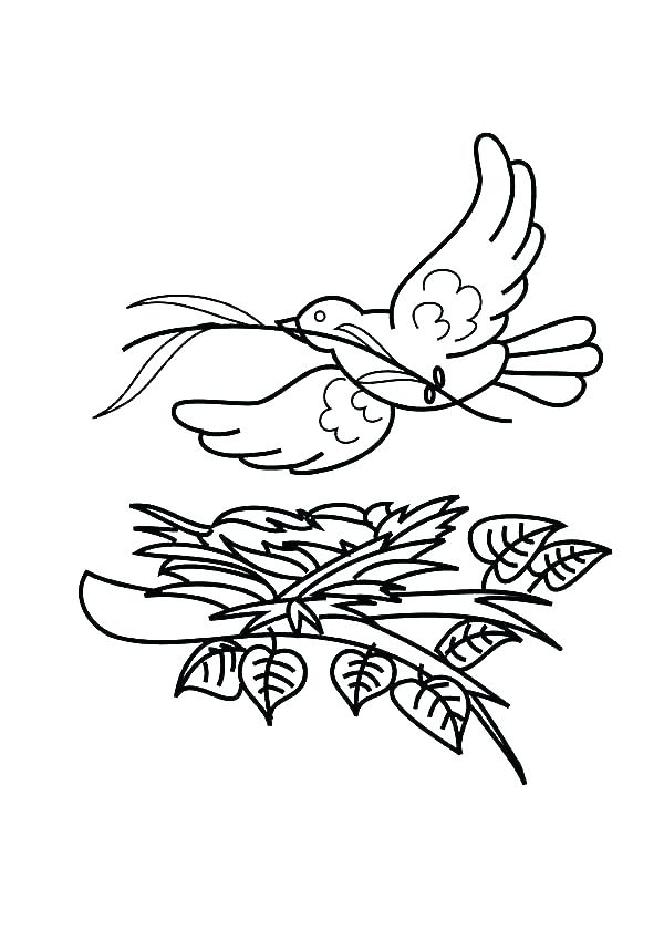 600x849 Free Bird Coloring Pages Bird Nest Coloring Page Flying Bird