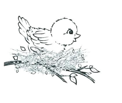421x356 Baby Bird Coloring Page Bird Nest Coloring Page Baby Bird Coloring