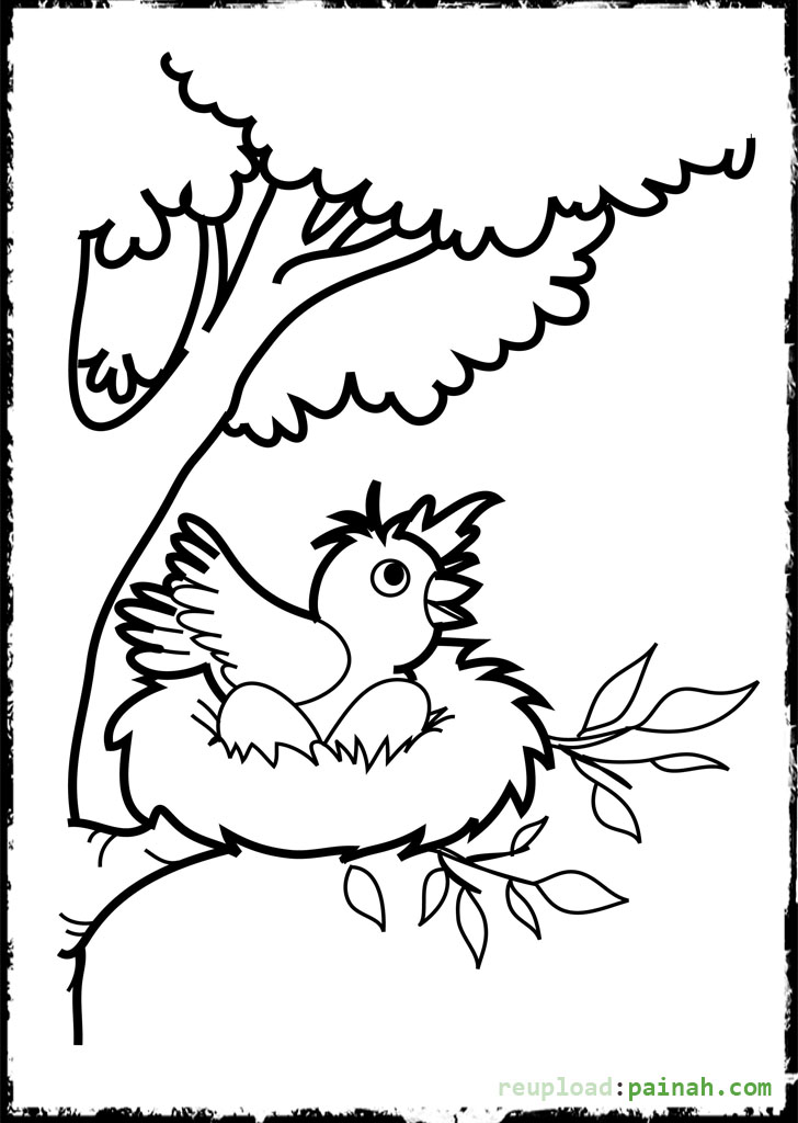 728x1024 Baby Bird Coloring Pages