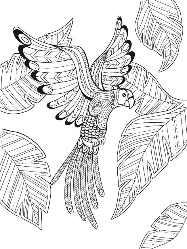 Bird Of Paradise Coloring Page