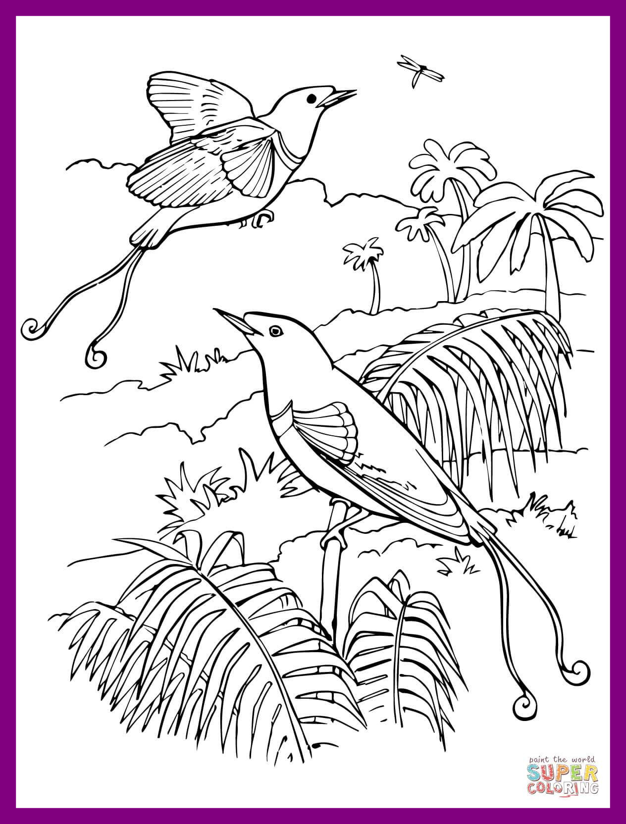 1264x1664 Incredible Coloring Pages Birds And Flowers Wkwedding Co Pics