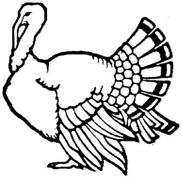 368x360 Bird Of Paradise Outline Turkey Outline Coloring Page Super