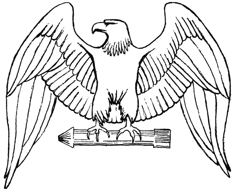 Coloring Page Eagle 750x619 Coloring Page Eagle