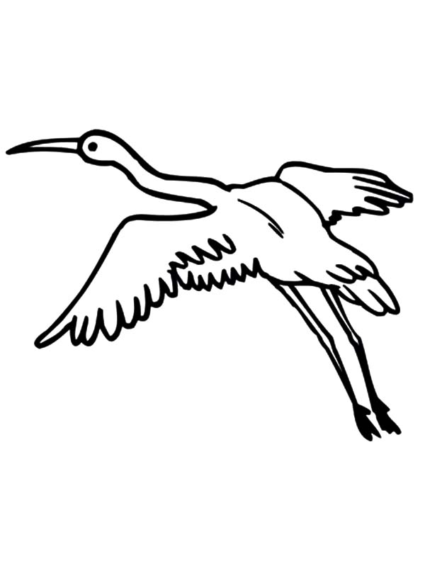 Crane Bird Netart 600x799 Crane Bird Netart
