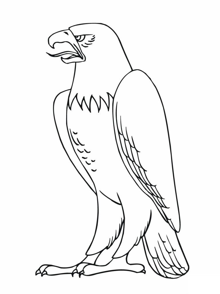 Eagle Coloring Page Animal Pages In Birds Of Prey 768x1024 Eagle Coloring Page Animal Pages In Birds Of Prey