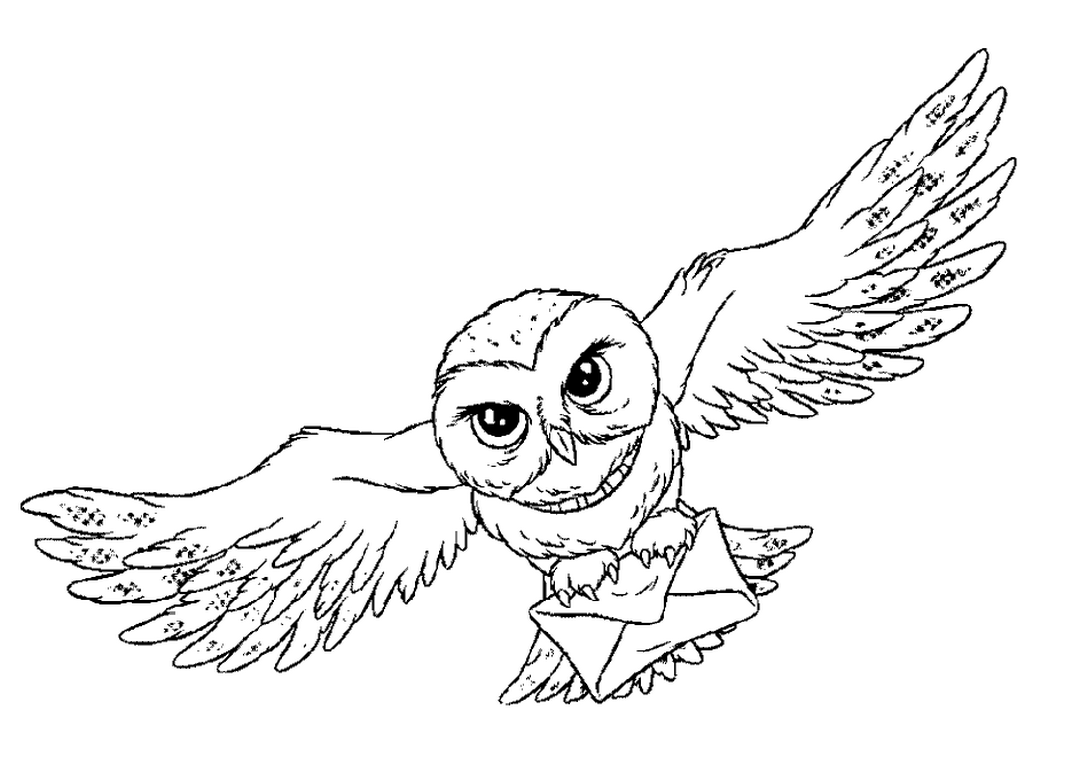 Owl Animal Coloring Pages Bird That Flies 1080x765 Owl Animal Coloring Pages Bird That Flies