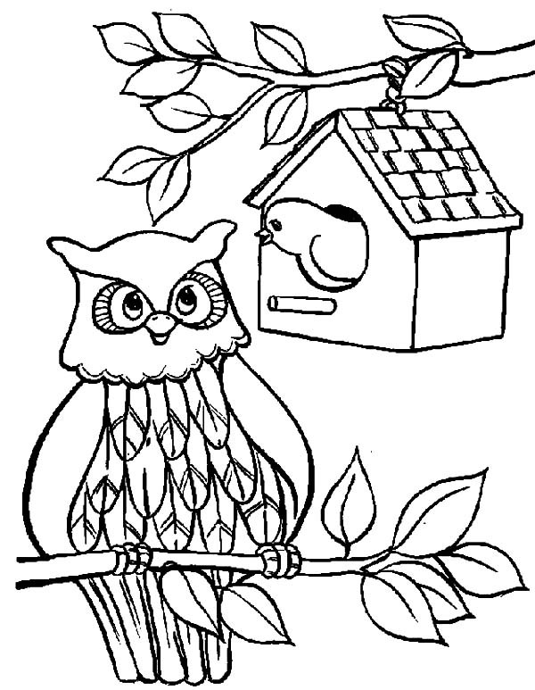 An Owl Bird House Coloring Pages Best Place To Color 600x773 An Owl Bird House Coloring Pages Best Place To Color