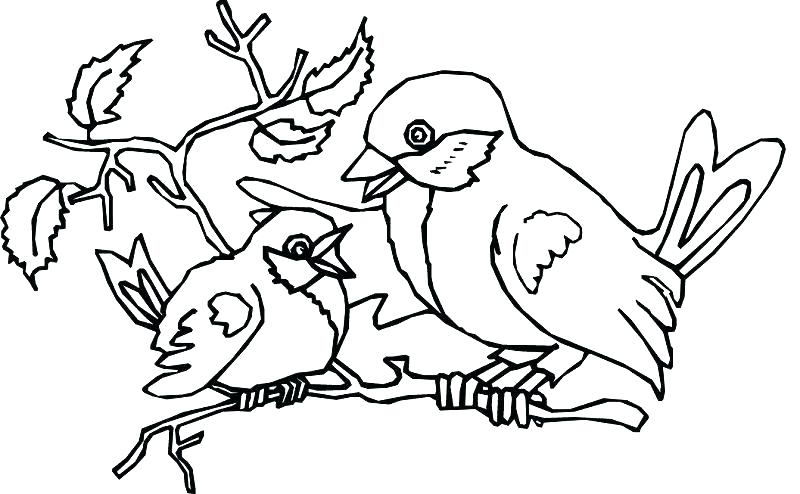 Birdhouse Coloring Pages For Adults Printable Coloring Coloring 800x494 Birdhouse Coloring Pages For Adults Printable Coloring Coloring