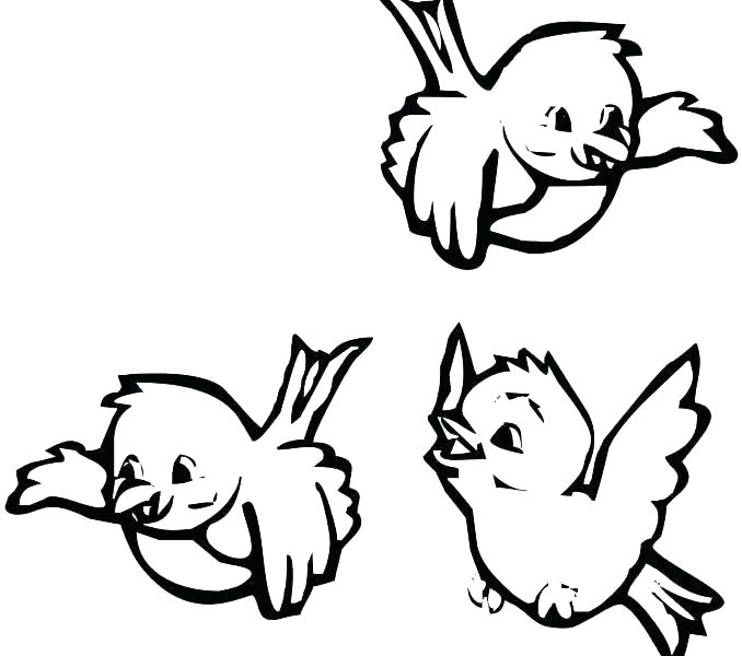 Birds Coloring Pages Adult Coloring Pages Bird Birdhouse Coloring 678x600 Birds Coloring Pages Adult Coloring Pages Bird Birdhouse Coloring
