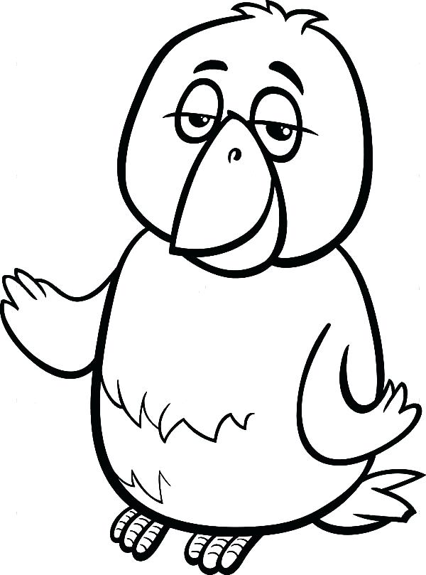 Coloring Page Of A Bird Canary Bird Cartoon Coloring Page 600x809 Coloring Page Of A Bird Canary Bird Cartoon Coloring Page