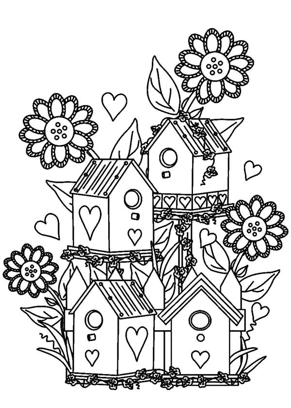 Bird House, Bird House 600x840 Bird House, Bird House