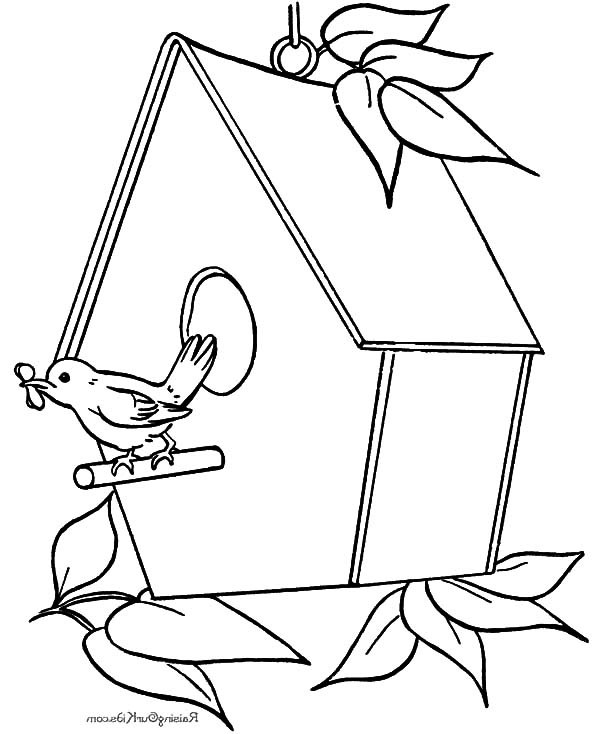 Bird Singing In Front Of Bird House Coloring Pages Best Place 600x734 Bird Singing In Front Of Bird House Coloring Pages Best Place