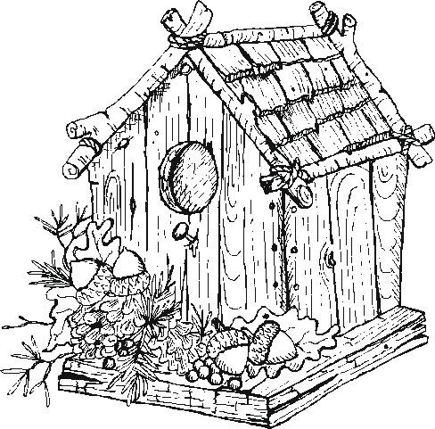 Bird House Artsy Garden Birds, Adult Coloring 488x481 Bird House Artsy Garden Birds, Adult Coloring