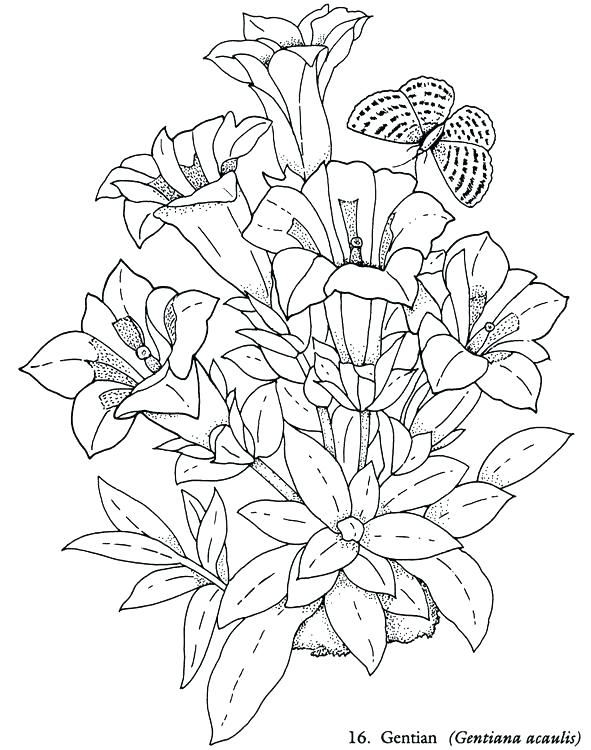 591x750 Coloring Page Of Flowers Best Coloring Page Flowers Cool Gallery