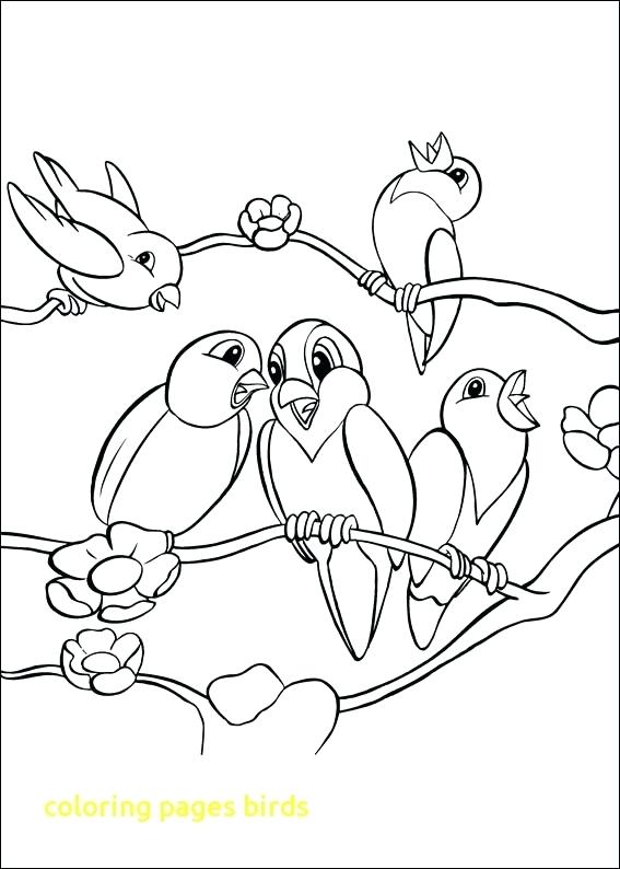 567x794 Coloring Pages Bird Coloring Pages Birds With Birds Coloring Pages