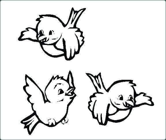 576x486 Coloring Pages Birds Baby Bird Coloring Page Baby Bird Coloring