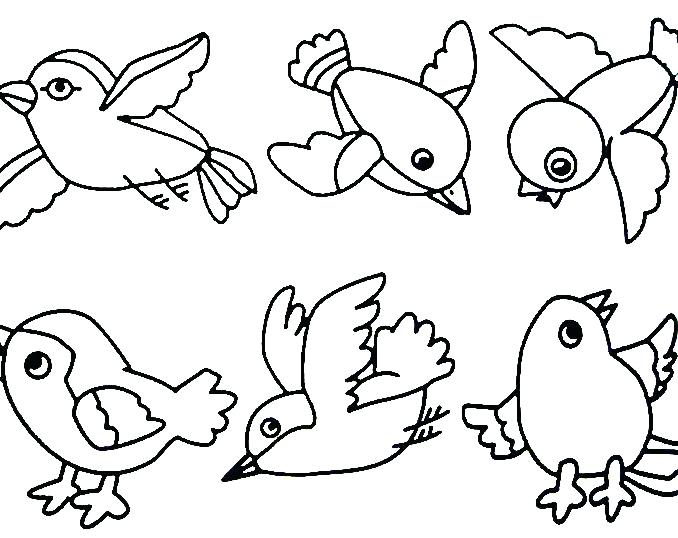 678x538 Coloring Pages Of Birds Or Free Coloring Pages Of Birds Trend Bird