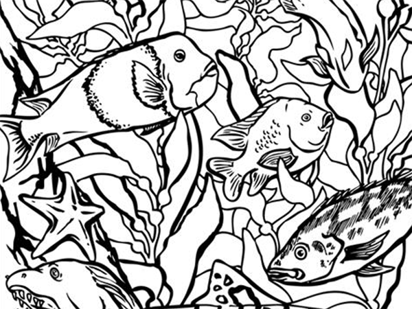 Coloring Pages 600x450 Coloring Pages