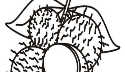 Best Of Tropical Fruit Coloring Pages Collection Printable 400x230 Best Of Tropical Fruit Coloring Pages Collection Printable