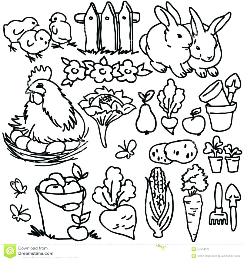805x861 Animal Coloring Pages For Adults Pdf Coloring Pages Coloring Pages