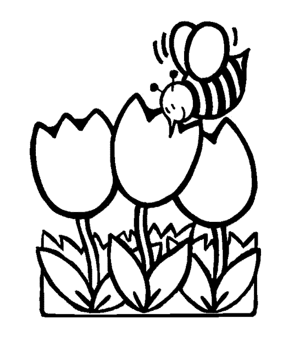 1000x1184 Printable Coloring Pages Flowers
