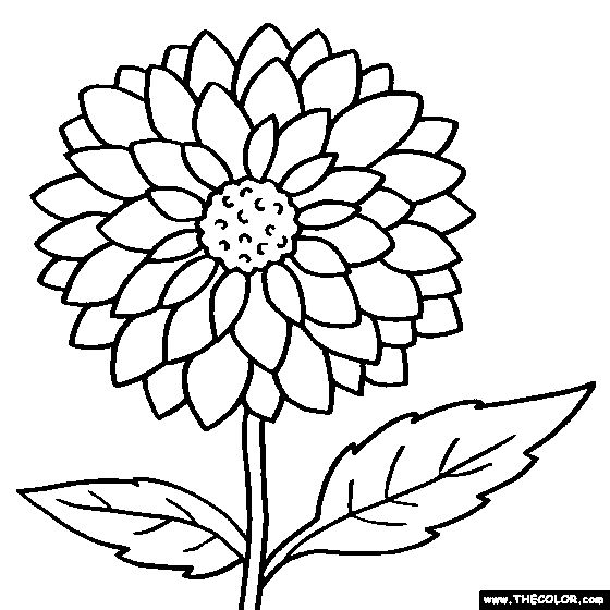 560x560 Black And White Coloring Pages Of Flowers
