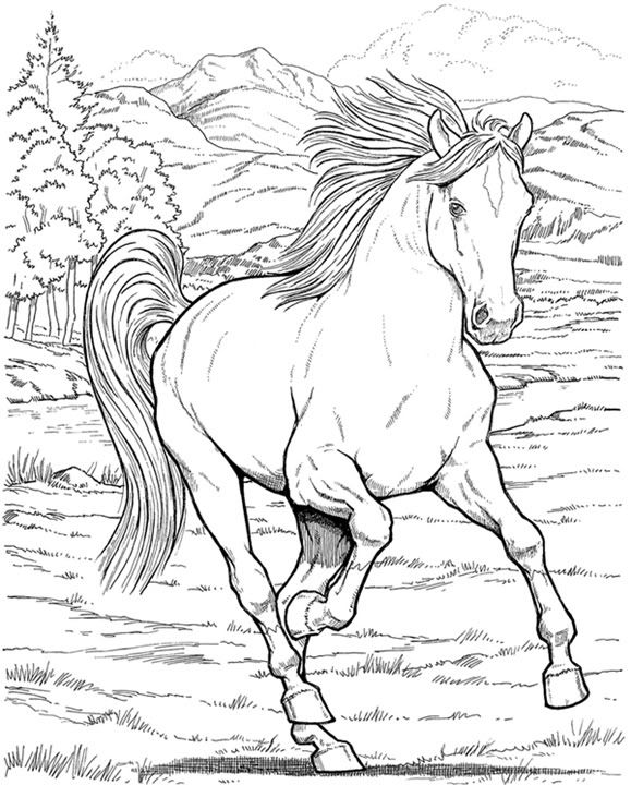 Black And White Horse Coloring Pages