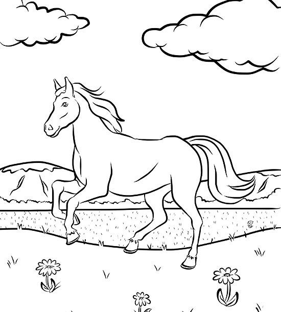 Free Horse Coloring Page 550x611 Free Horse Coloring Page