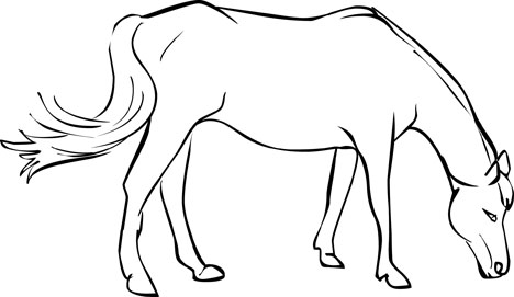 Free Horse Coloring Pages From Mustangs To Lipizzaners 468x271 Free Horse Coloring Pages From Mustangs To Lipizzaners