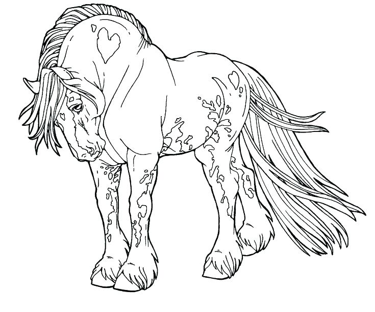 Horse Picture Coloring Pages Black And White Horse Pictures 735x610 Horse Picture Coloring Pages Black And White Horse Pictures