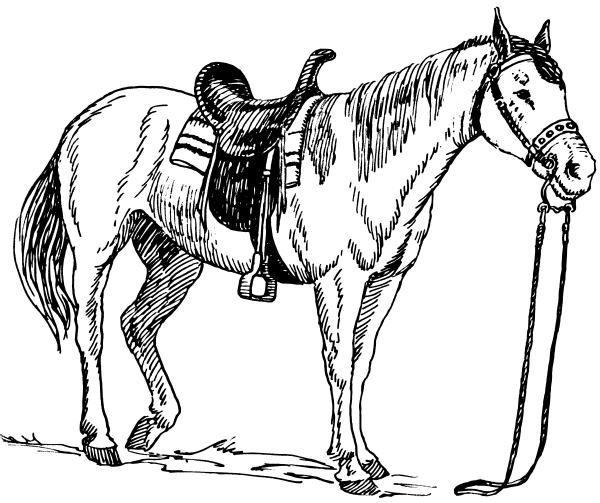 Free Medieval Horse Coloring Pages Printable 600x503 Free Medieval Horse Coloring Pages Printable