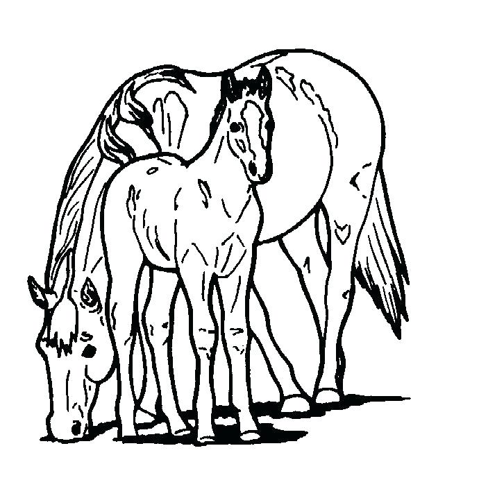 Black And White Horse Coloring Pages Free Book To Print Color 690x705 Black And White Horse Coloring Pages Free Book To Print Color